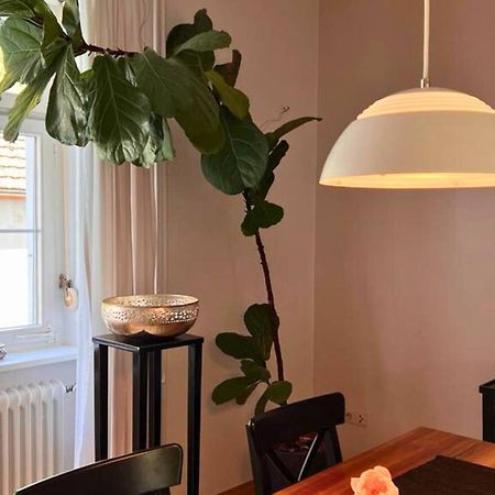 Seeglueck Seeliebe - Charmante Jugendstilwohnung Mit Parkplatz Direkt Im Zentrum Nahe Bahnhof Und Seeufer In Konstanz Exterior foto